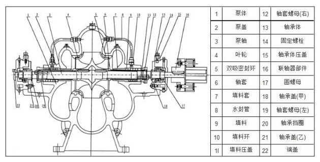 立式雙吸泵結(jié)構(gòu)圖